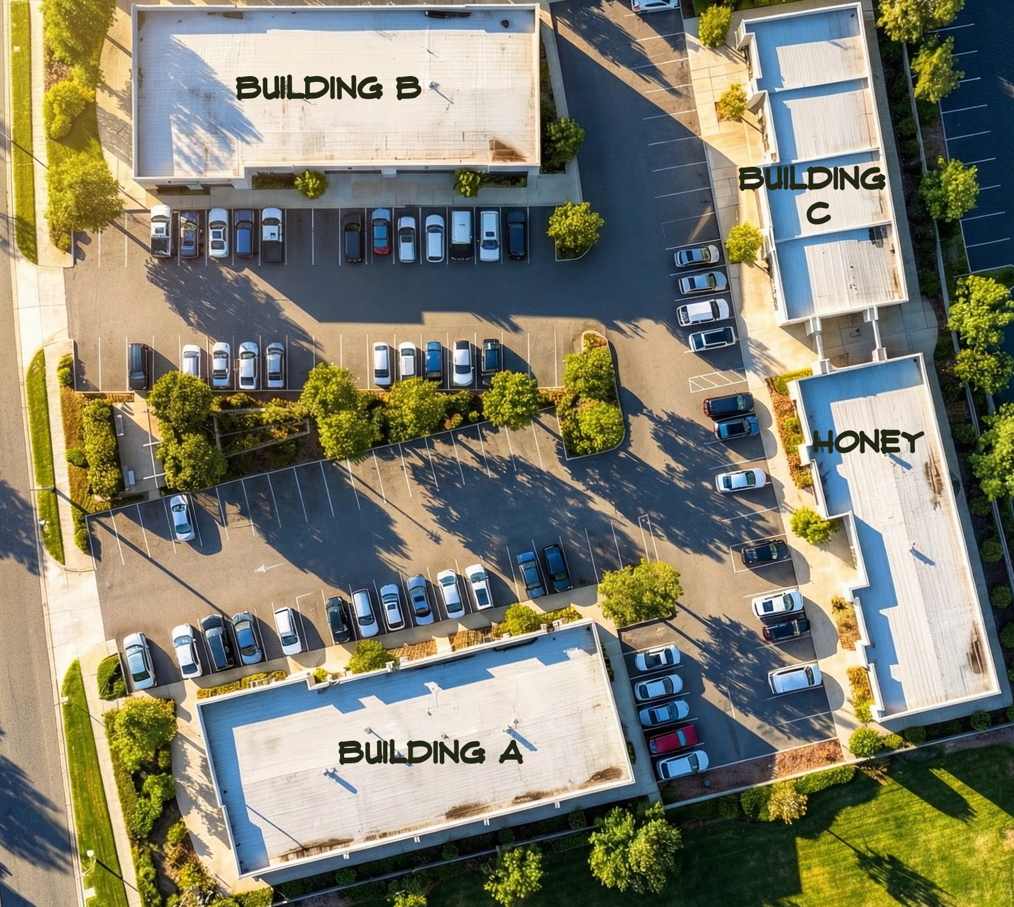 University Plaza site rendering screenshot